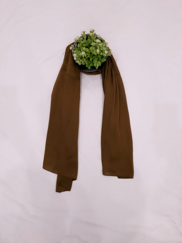 Multi Colour - Chunnat Stole | Soft Wrinkled Fabric | 70" x 30" | Light Metallic Shine - Image 4