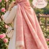 Rose Flower Cotton Stoler in Sand Beige draped as a hijab