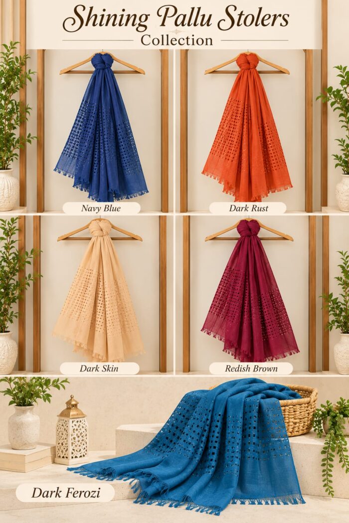 Shining Pallu Stoler in Reddish Brown with fabric detail